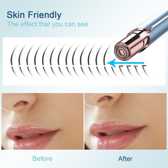 Facial Hair Removal for Women, Electric Painless Facial Hair Remover for Face, L