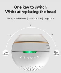 BoSidin Permanent Hair Removal-Mini – BRAND NEW!