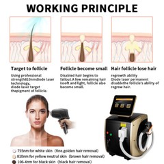 810nm 755nm 1064nm Diode Laser 810 Hair Removal and Skin Rejuvenation Machine