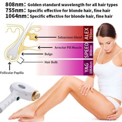 808nm Diode Laser Hair Removal Machine Painless Remove Hair Skin Whitening
