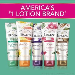 Jergens Sweet Citrus Body Butter, Hand and 7 Fl Oz (Pack of 1), White