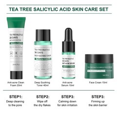 Tea Tree Salicylic Acid Facial Skin Care Set, Acne Treatment Skincare Set…