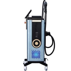 16Bars 2-IN-1 Hair Removal+Tattoo Removal Diode Picosecond Machine Salon Beauty