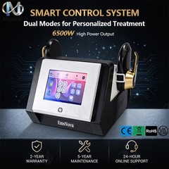 2 Handles 6500W Dual Mode Body Firming Contouring Salon Skin Maintenance Device