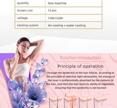 2-in-1 808NM Diode Laser Hair Removal Device & Picosecond Laser Tattoo Removal