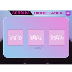 Painless Diode Laser Ice Titanium 755/808/1064nm Hair Removal Machine Permanent
