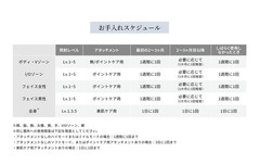 ReFa EPI W COOL Hair Removal Device IPL Beauty Machine Japan 100-240V NEW