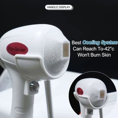 110V Portable Diode Laser 808nm Hair Removal Pico Tattoo Removal Spa Machine
