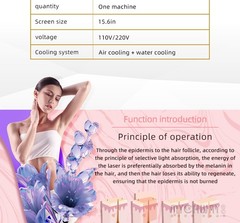Pro 2 in 1 Diode Laser Hair Removal Machine Picosecond Tattoo Removal Instrument