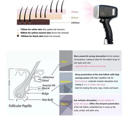 2 IN 1 755 808 1064nm Diode Laser Hair Removal Machine Pico Laser Tattoo Removal