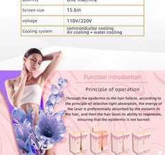 2026 3000W Permanent Depilation Diode Laser Hair Removal Machine 755 808 1064nm