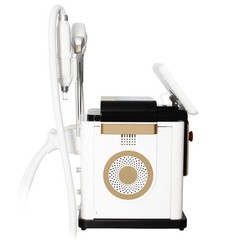 2IN1 Diode Pico Laser Ice Cooling Hair Reduction Pigment Removal Beauty Device