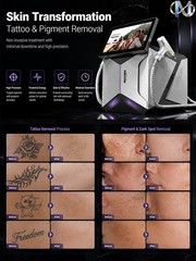 Mecavie 2-in-1 Dual Applicator Ice Cool Salon Skin Firming Beauty Care Machine
